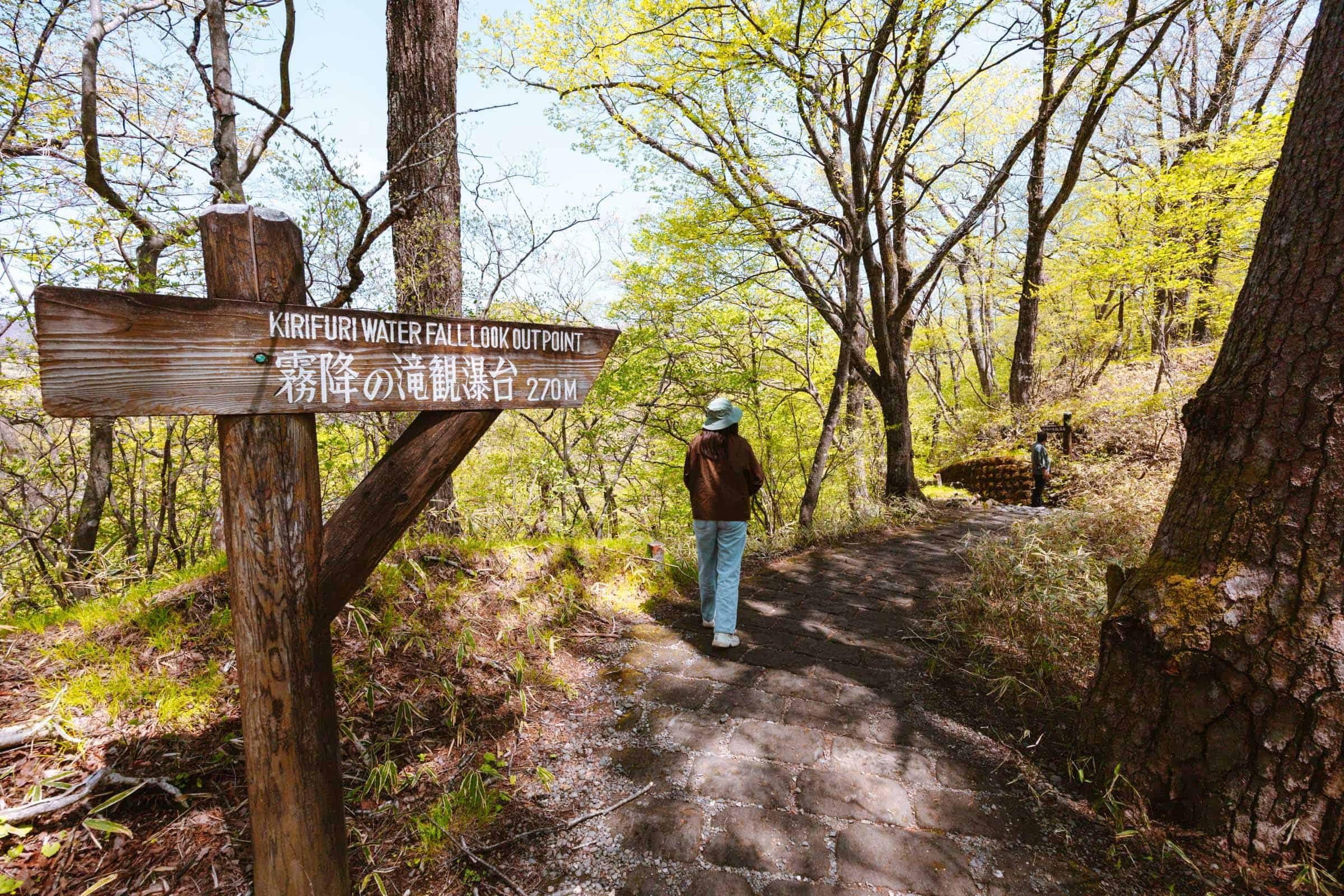🏞️ 키리하라 폭포(키리하라노타키) 이미지 5